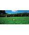 Фото, картинка, изображение Газонная трава DLF-Trifolium Турфлайн Ornamental (Орнаментал), 7,5 кг