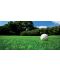 Фото, картинка, изображение Газонная трава DLF-Trifolium Турфлайн Sport (Спорт), 7,5 кг