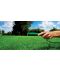 Фото, картинка, изображение Газонная трава DLF-Trifolium Турфлайн Waterless (Ватерлесс), 7,5 кг