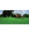 Фото, картинка, изображение Газонная трава DLF-Trifolium Турфлайн Sunshine (Саншайн), 1 кг