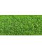 Фото, картинка, изображение Газонная трава DLF-Trifolium Универсал M1 (Гринерс), 20 кг