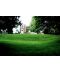 Фото, картинка, изображение Газонная трава DLF-Trifolium Универсал Robustica (Робустика), 20 кг