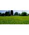Фото, картинка, изображение Газонная трава DLF-Trifolium Универсал Sun (Сан), 20 кг