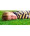 Фото, картинка, изображение Газонная трава DLF-Trifolium Универсал Playground (Плейграунд), 20 кг