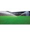 Фото, картинка, изображение Газонная трава DLF-Trifolium Мастерлайн Експрессмастер, 10 кг