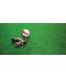 Фото, картинка, изображение Газонная трава DLF-Trifolium Мастерлайн Спортмастер, 10 кг