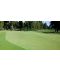 Фото, картинка, изображение Газонная трава DLF-Trifolium Мастерлайн Гольфмастер, 10 кг